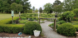 East Carolina University's Botanical Garden