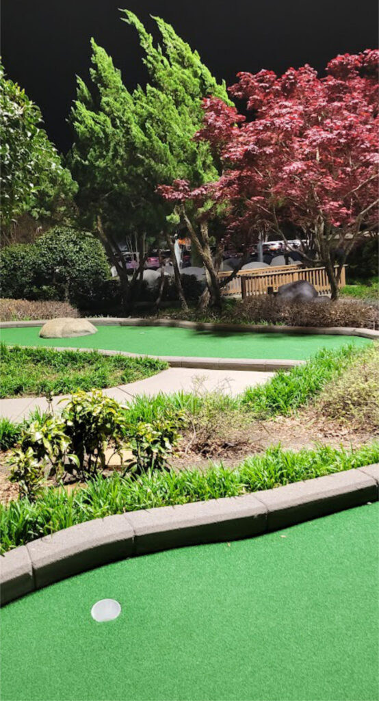 Greenville Frankie's Fun Park mini golf
